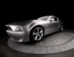 Iacocca Silver 45th Anniversary Edition Ford Mustang